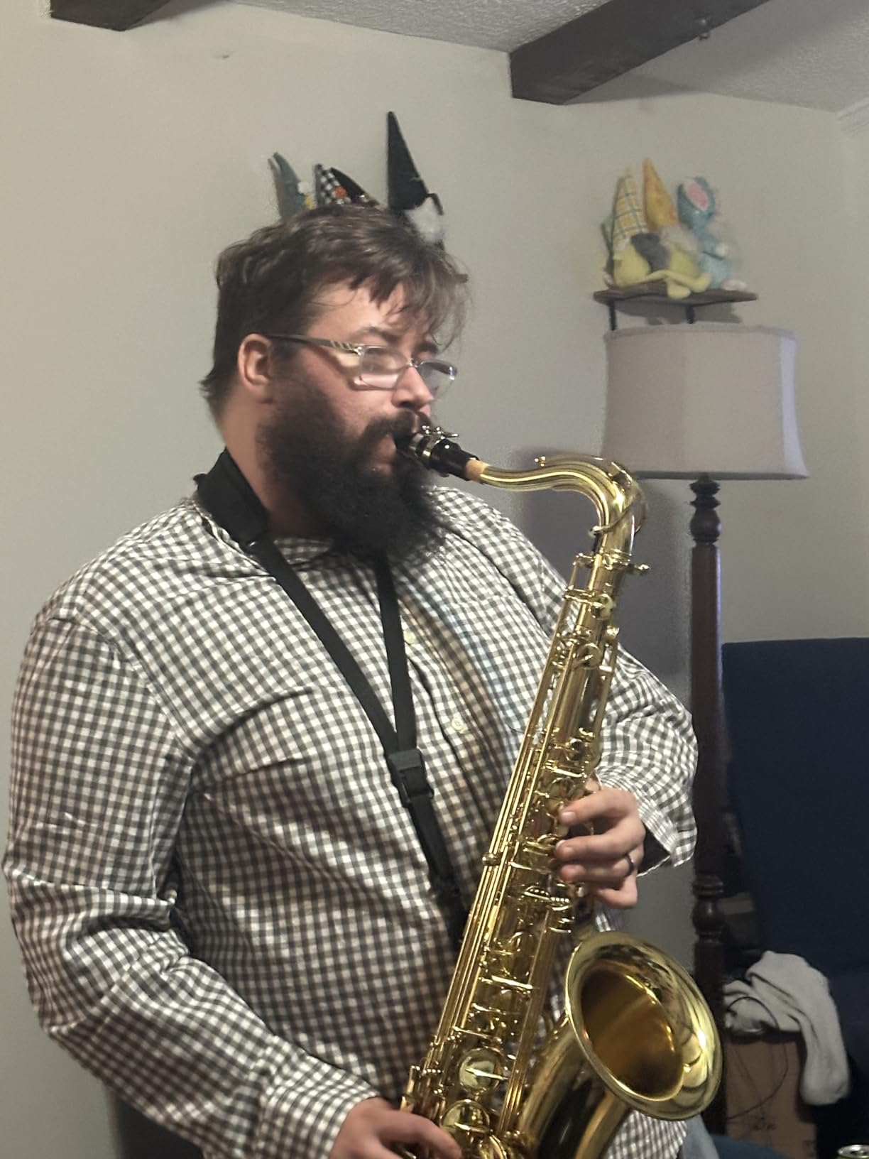 Selmer Tenor Saxophone (TS711) customer photo 1