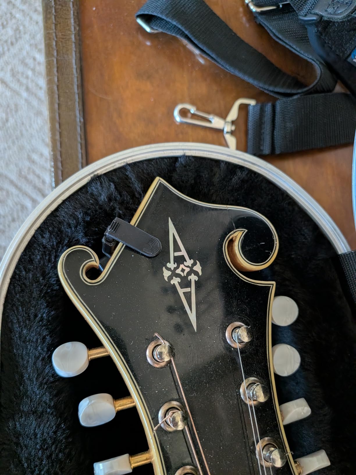 Gator Cases Deluxe ABS Molded Case for Mandolin's; Fits Both 'A' and 'F' Style Mandolin's (GC-Mandolin) customer photo 1