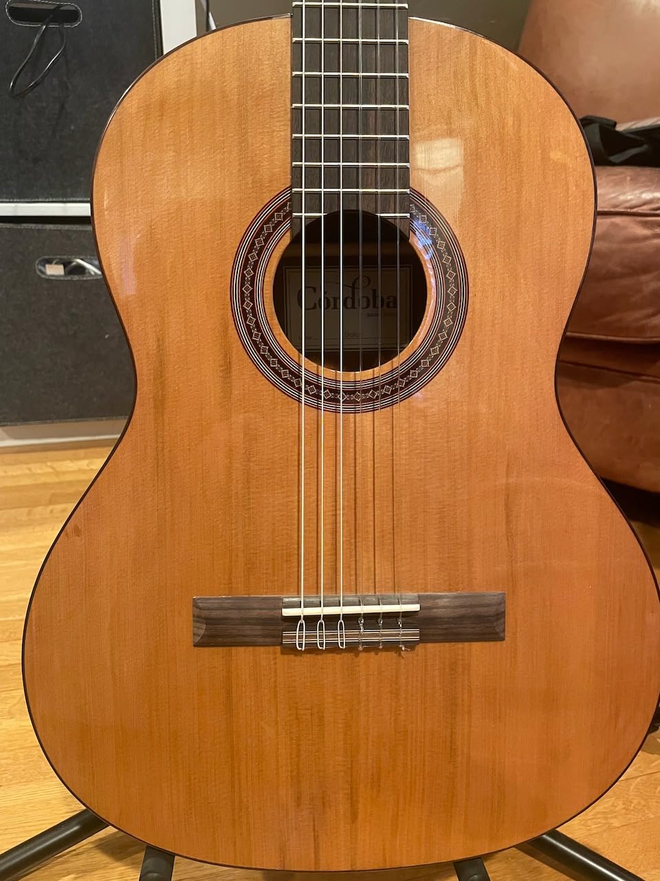 Cordoba Dolce 7/8 Nylon String Acoustic Guitar customer photo 1
