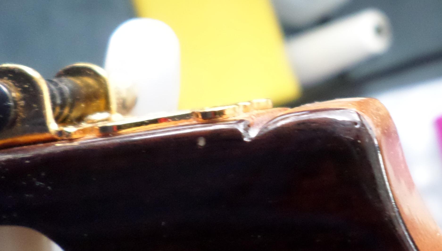 Cordoba Dolce 7/8 Nylon String Acoustic Guitar customer photo 2