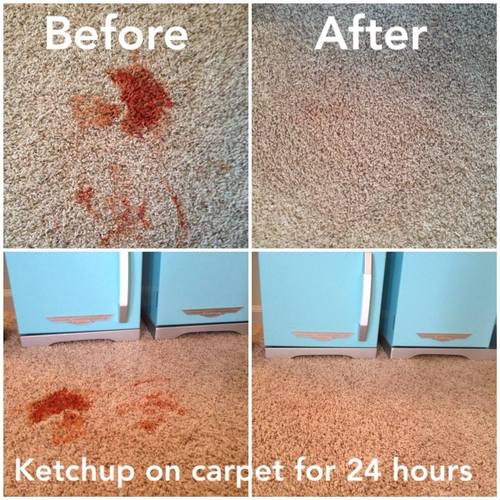 Bissell 3624 Spot Clean Professional Portable Carpet Cleaner - Corded, Black customer photo 1