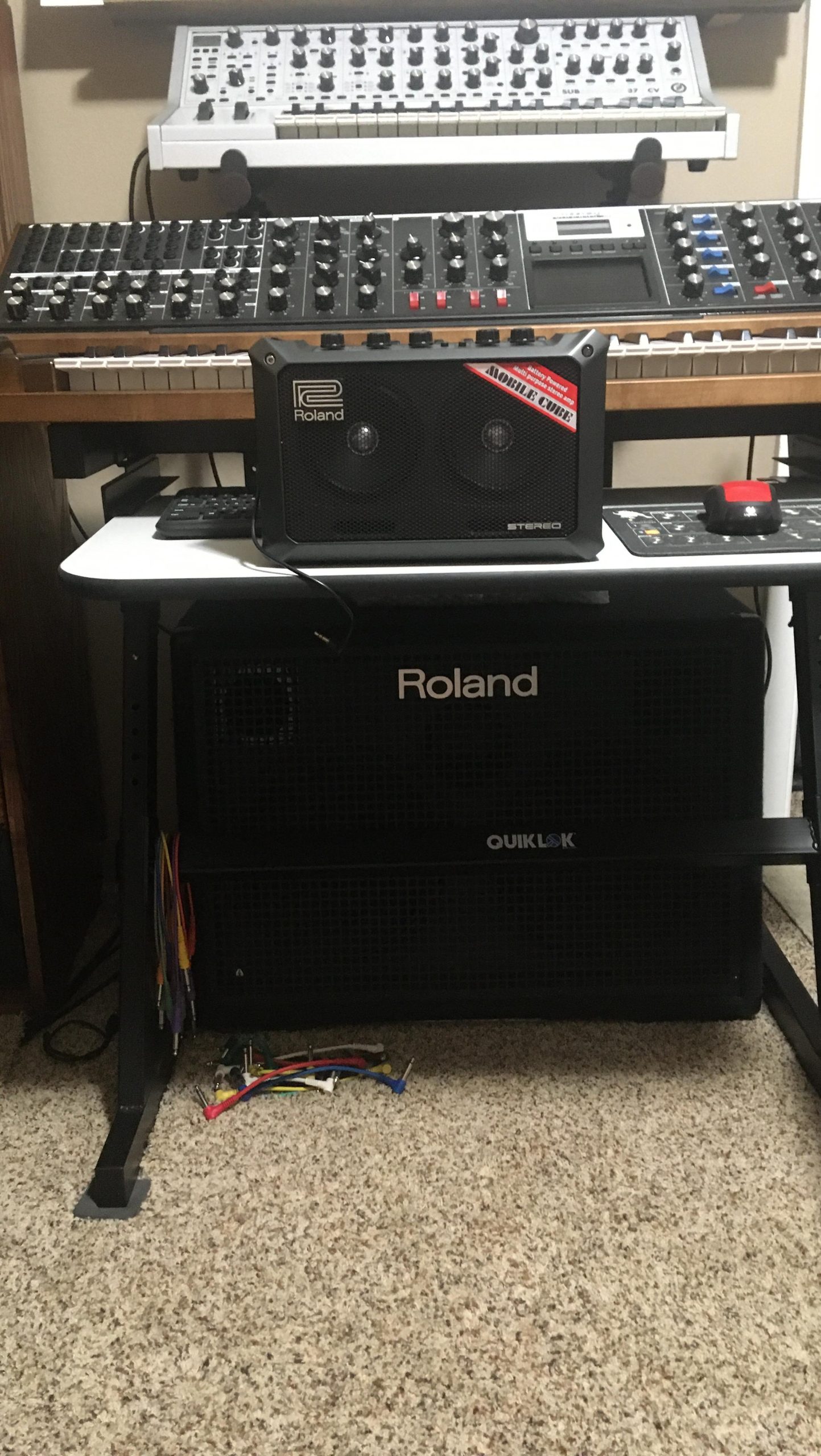 Roland Mobile-AC Portable Battery Powered Acoustic Guitar Amplifier customer photo 2