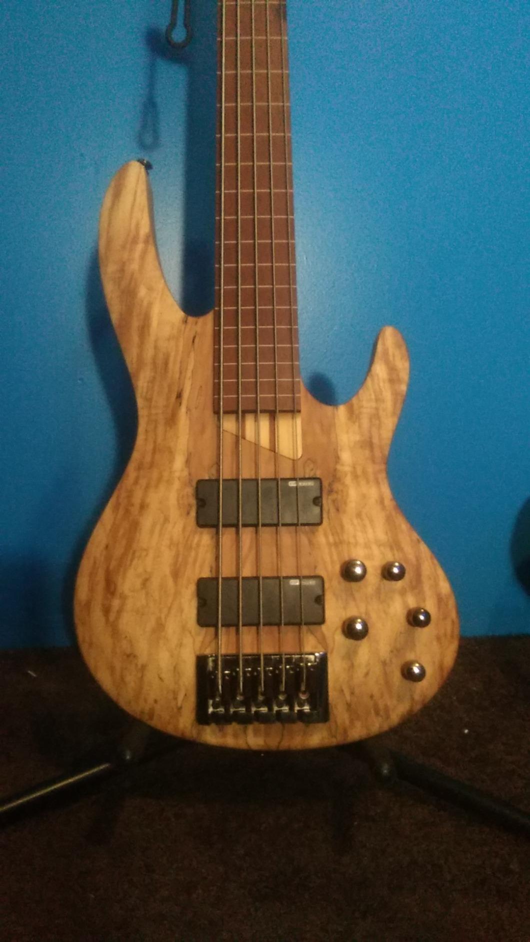 ESP LTD B-205SM Fretless - Natural Satin customer photo 1