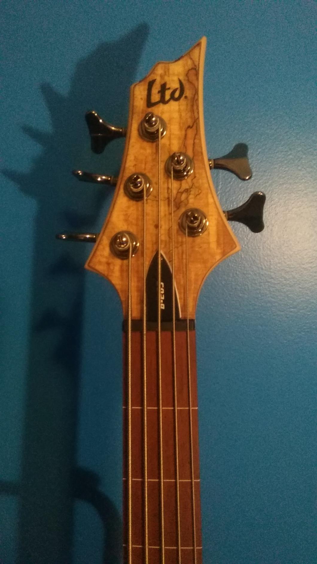 ESP LTD B-205SM Fretless - Natural Satin customer photo 2