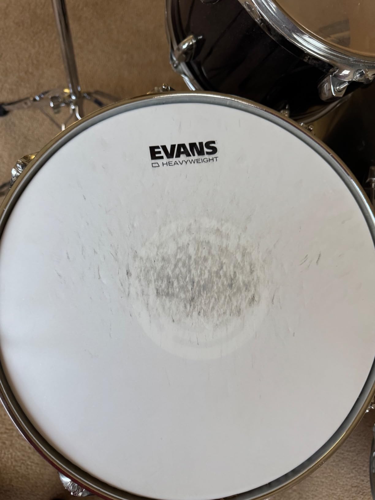 Evans Heavyweight Coated Drumhead with Reverse Dot - 14 Inch Snare, 2 Plies customer photo 2