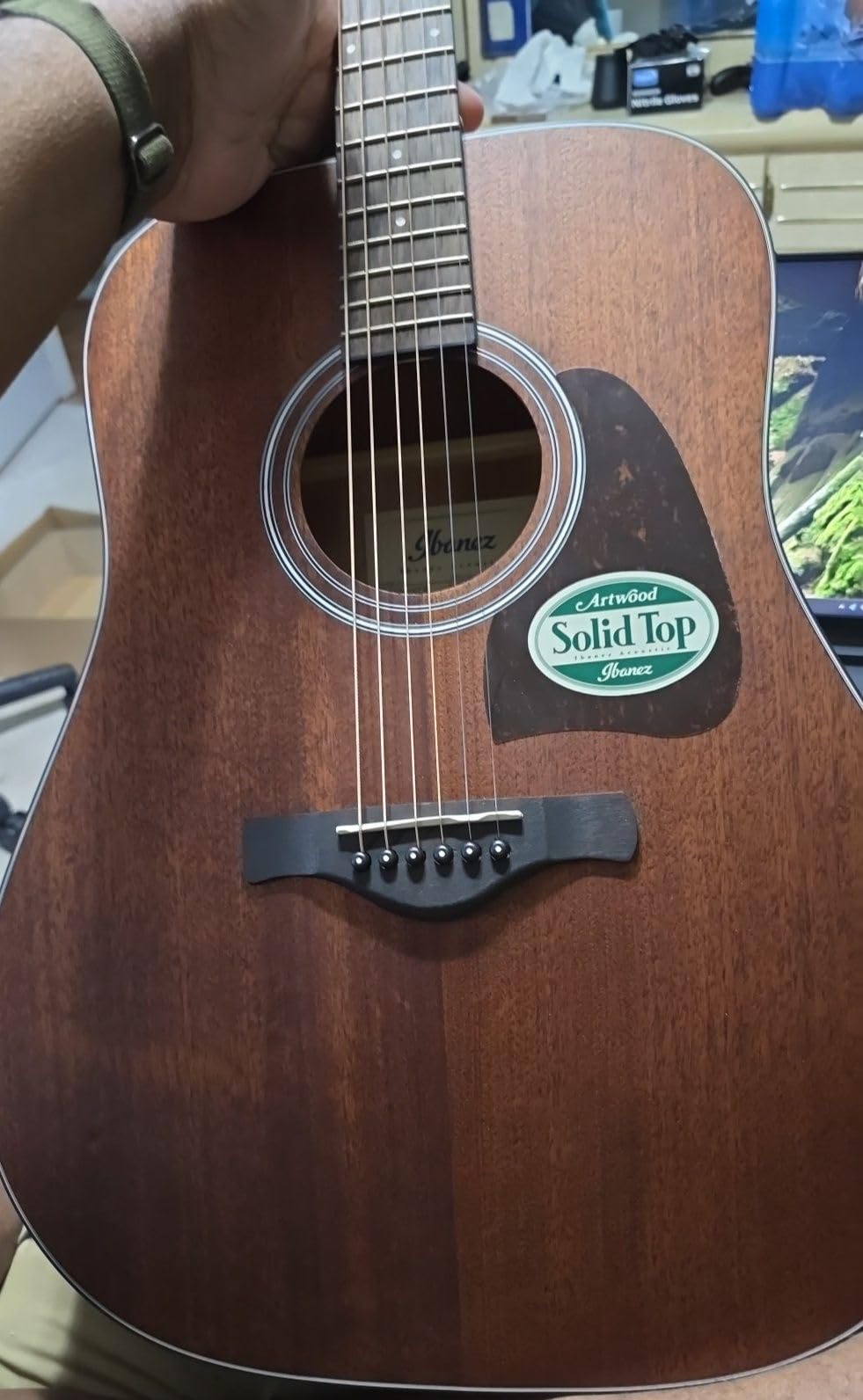 Ibanez Artwood Dreadnought Acoustic Guitar - Open Pore Natural customer photo 1