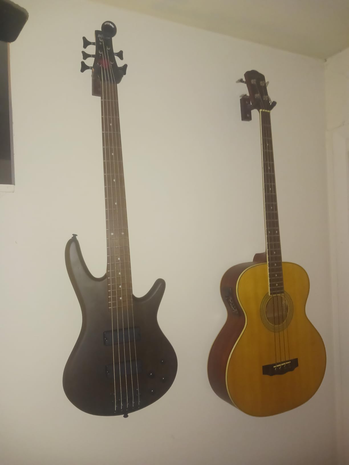 Ibanez GSR205BWNF GIO 5-String Electric Bass Guitar - Walnut Flat customer photo 1