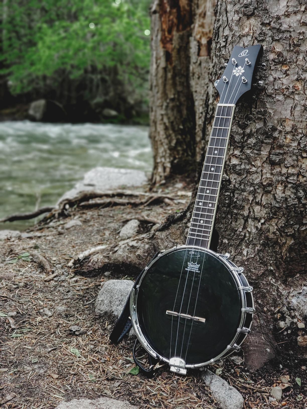 Recording King Banjolele Series Banjo-Ukulele w/Bag customer photo 1