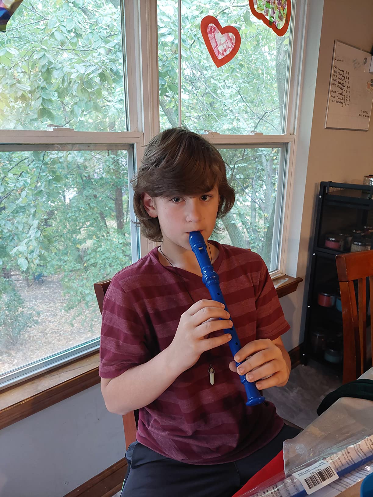 Mr.Power Soprano Recorder German Style C Key 8 Holes Easy Instrument for Beginners (Blue) customer photo 2