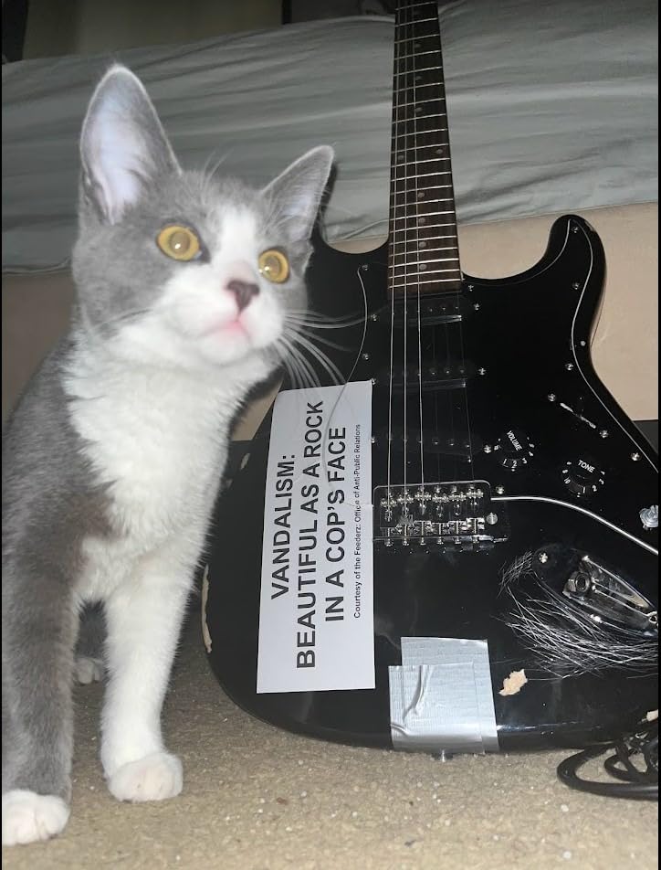 Monoprice Cali Classic Electric Guitar - Black 6 Strings, Double-Cutaway Solid Body, Right Handed, SSS Pickups, Full-Range Tone, With Gig Bag, Perfect for Beginners - Indio Series customer photo 1