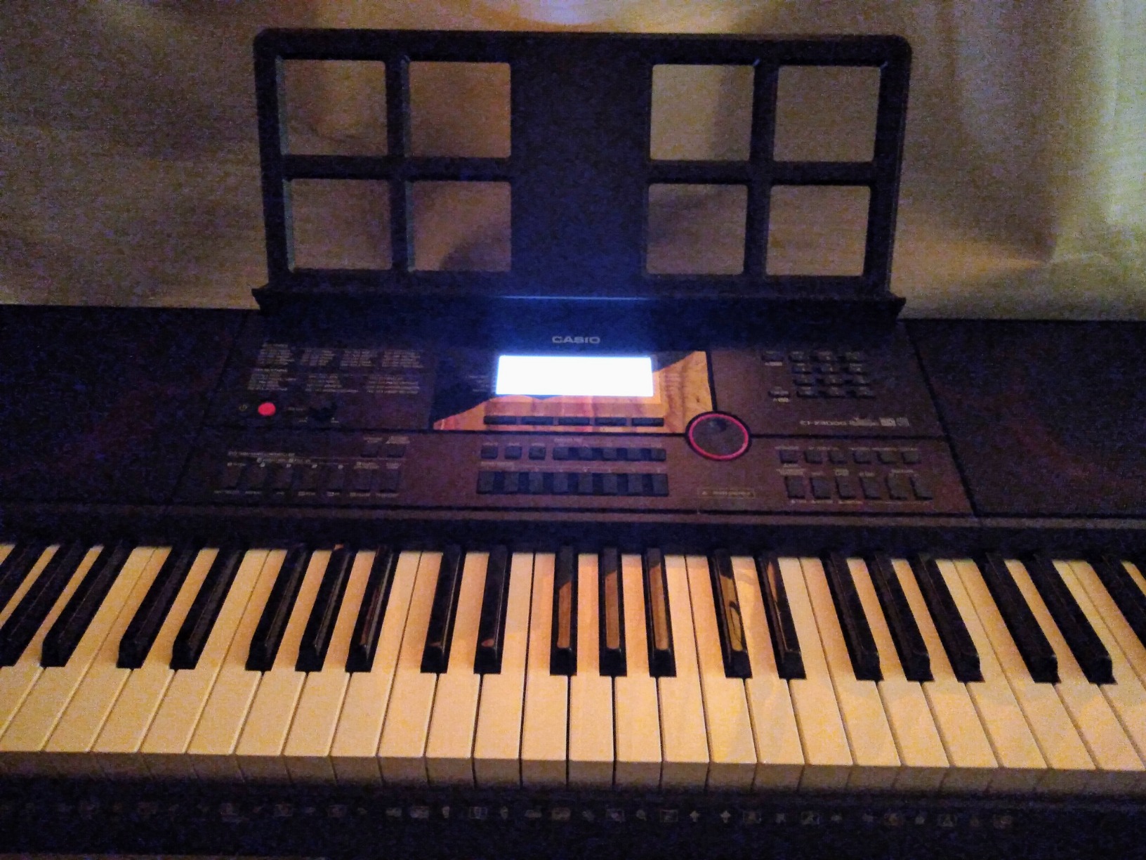 CT-X3000 - 61-Key Portable Arranger Keyboard | 800 Tones, 235 Rhythms, DSP Effects, 17-Track Recorder, USB MIDI, 12W Speakers, Phrase Pads, Aux In | Performance Power Anywhere customer photo 1