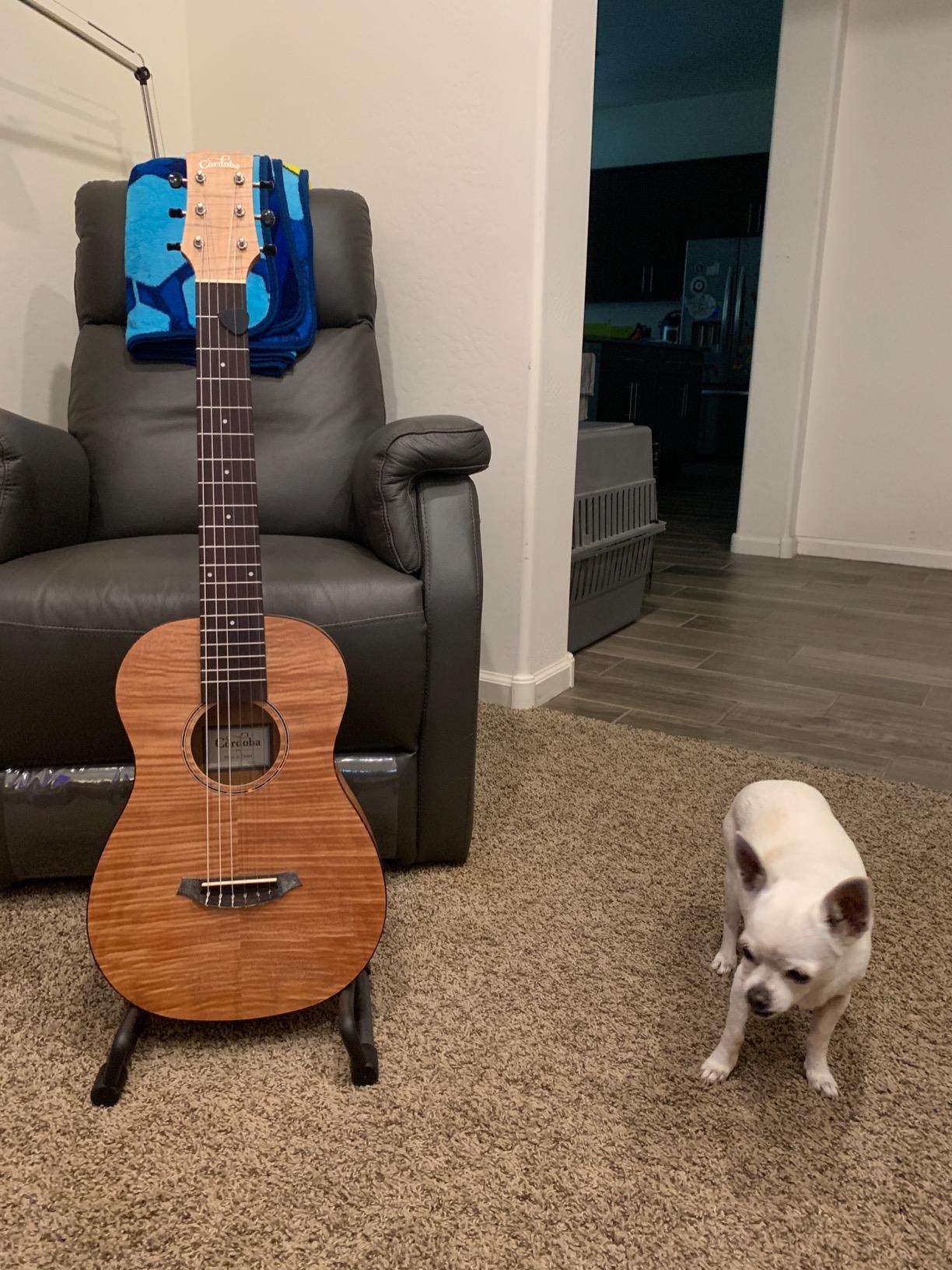 Cordoba Mini II FMH Nylon String Acoustic Guitar customer photo 1