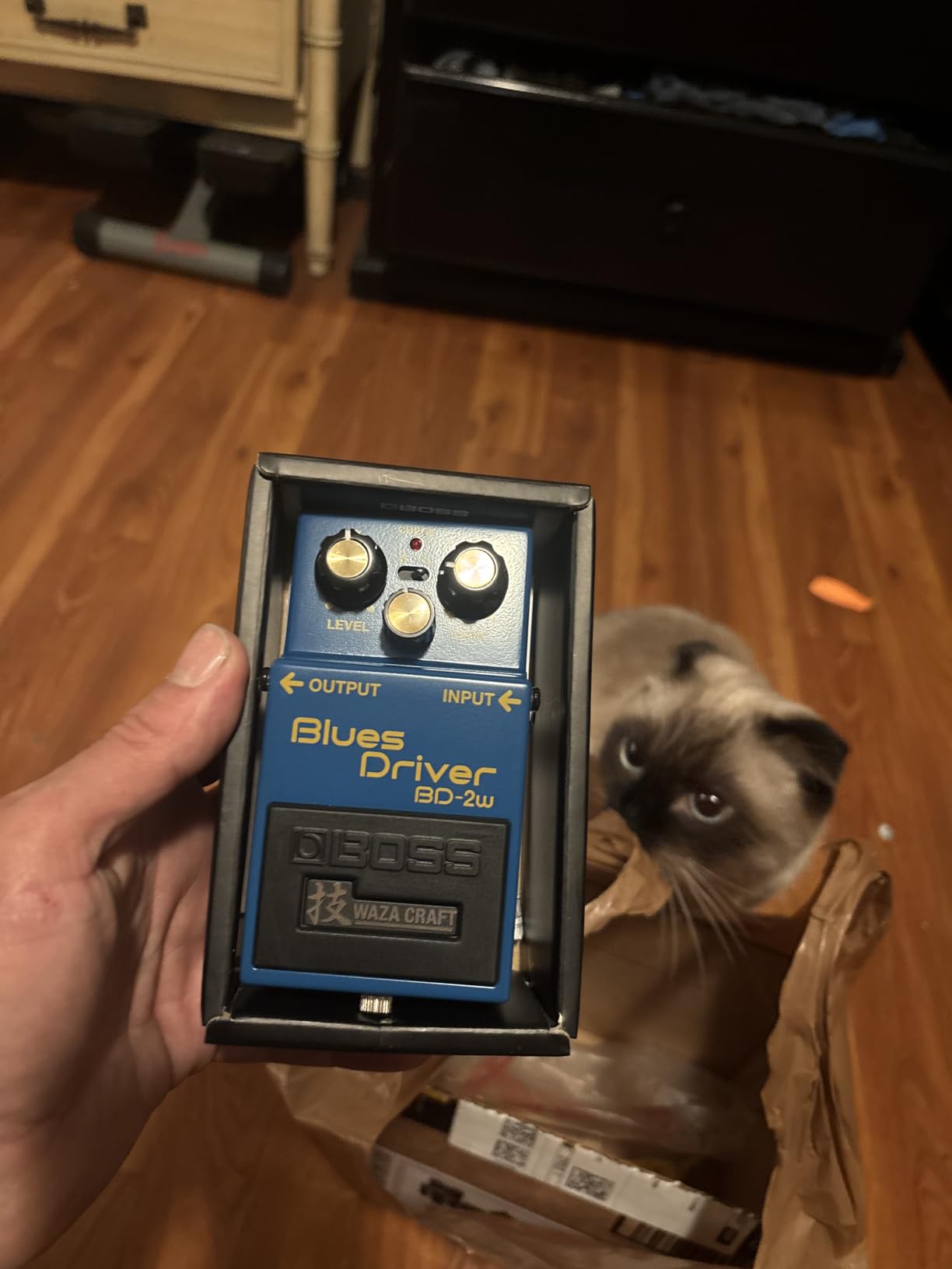 BOSS DC-2W WAZA Craft Dimension C Guitar Pedal (DC-2W) customer photo 2