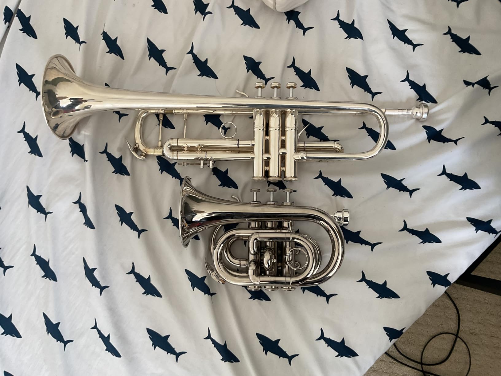 Eastar Pocket Trumpet B Flat Brass Bb Pocket Trumpet with Mouthpiece 7C, Cleaning Cloth, Hard Case, Gloves, Full Kit, Gold Lacquer, ETR-330 customer photo 1