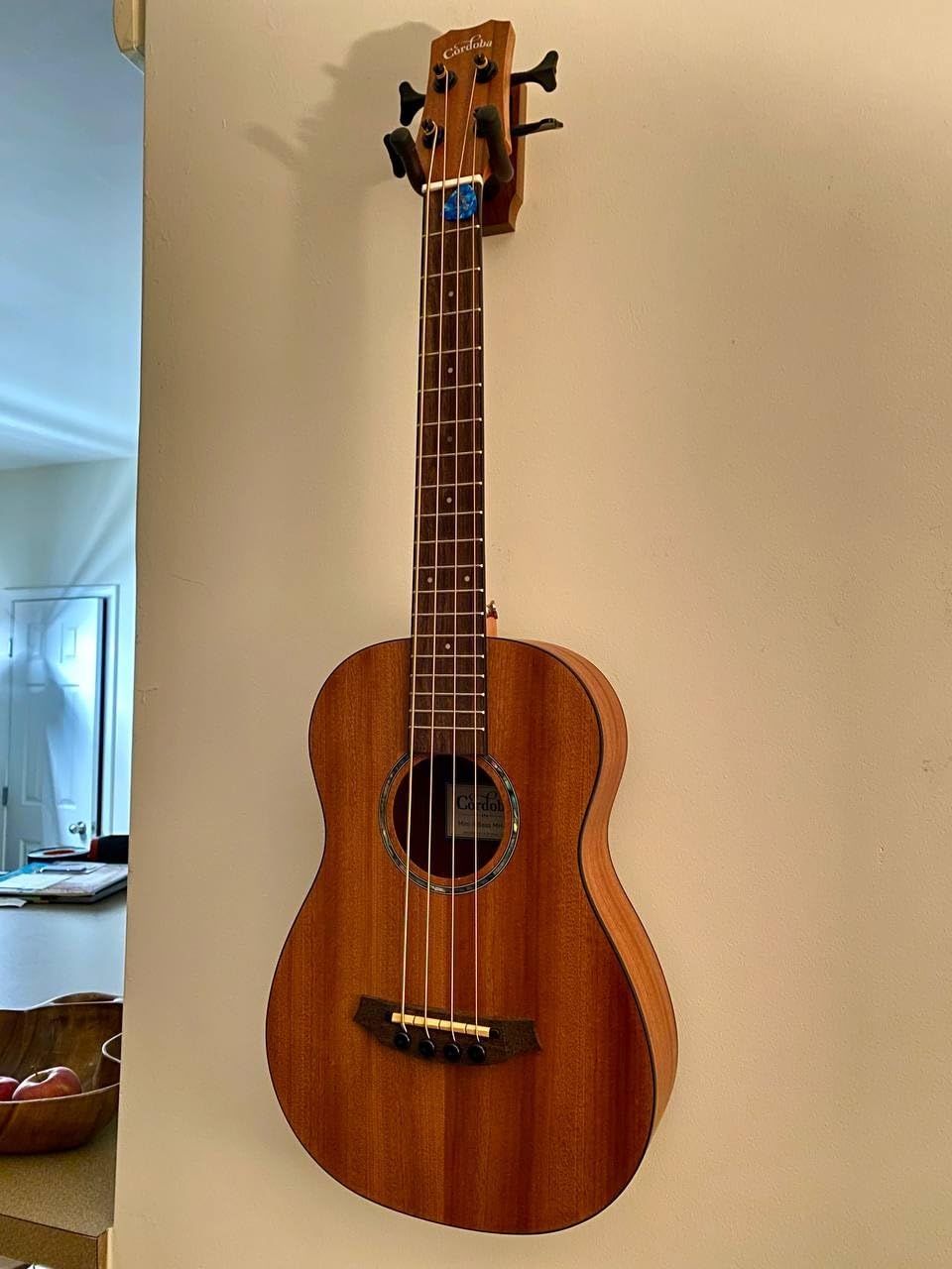 Cordoba Mini II Acoustic Electric Bass MHE customer photo 1