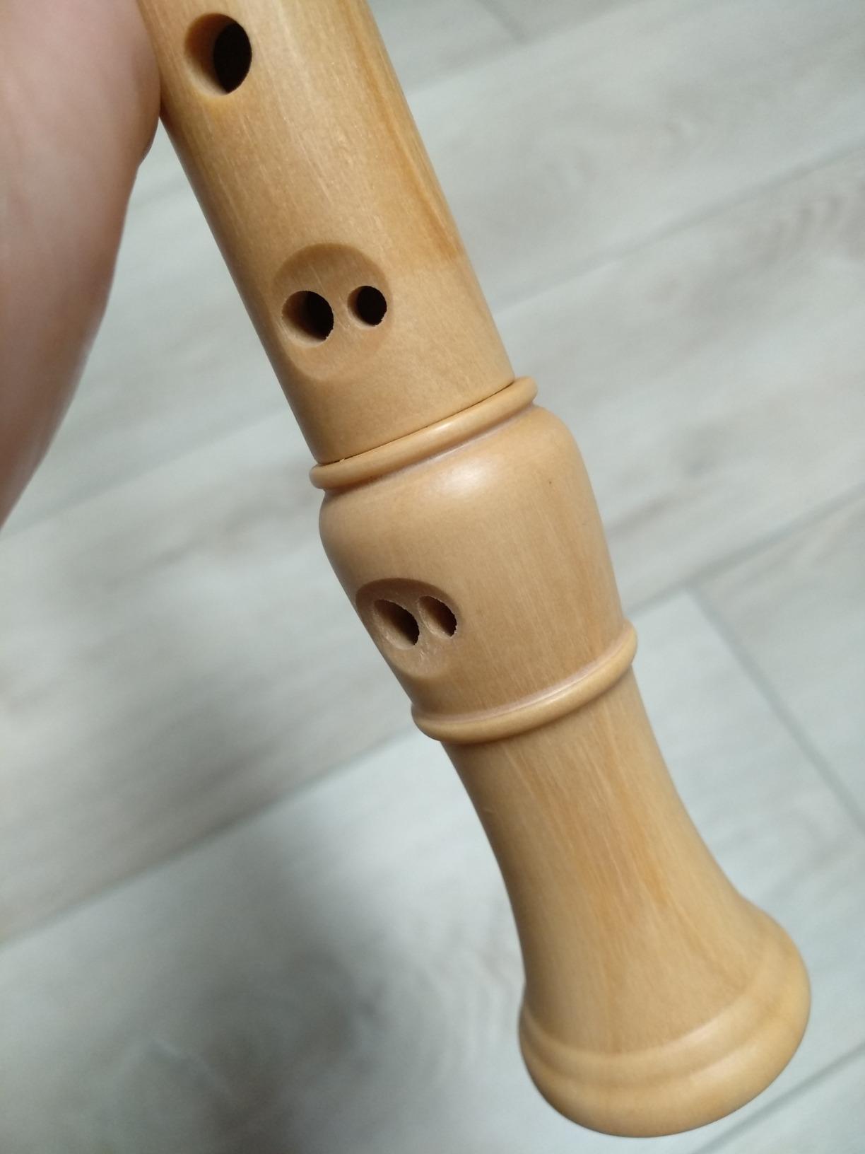 Eastar Soprano Beginners Recorder German Fingering C Key Maple Descant Recorder Instrument for Kids Adults, 3 Piece Recorder With Hard Case, Fingering Chart, Cleaning Kit, ERS-31GM customer photo 2