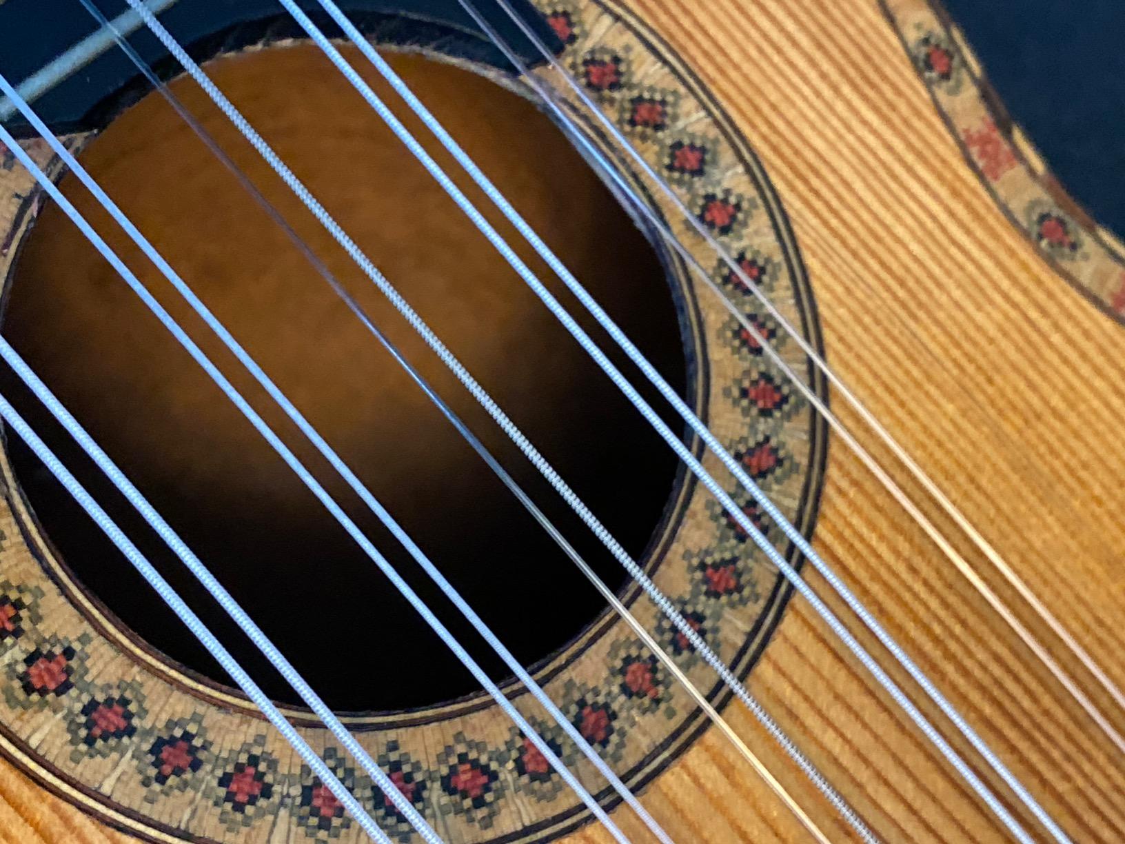 Charango Strings customer photo 1