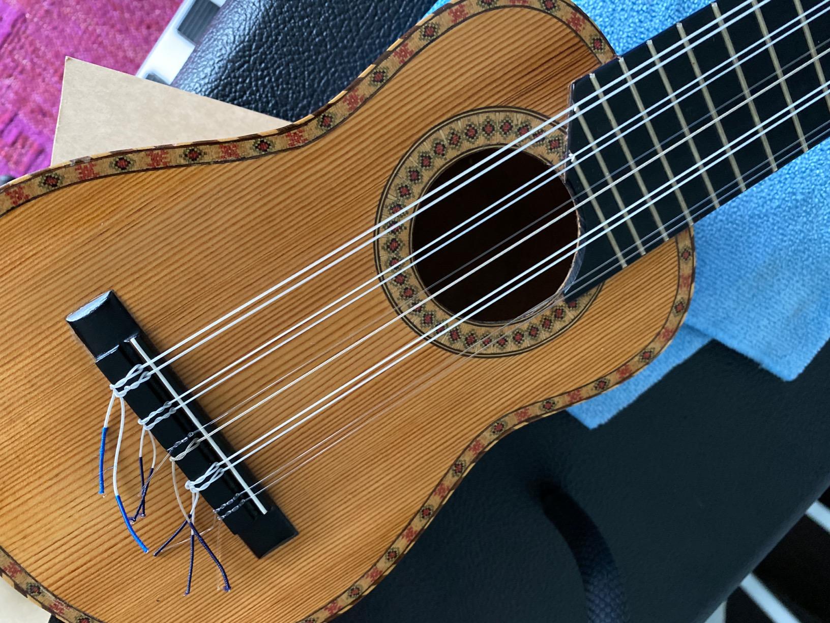 Charango Strings customer photo 2