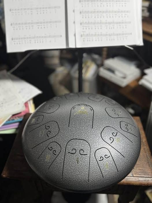 Steel Tongue Drum, AKLOT 10 inch 11 Notes Tank Drum C Key Percussion Steel Drum Kit w/Drum Mallets Note Stickers Finger Picks Mallet Bracket and Gig Bag customer photo 1