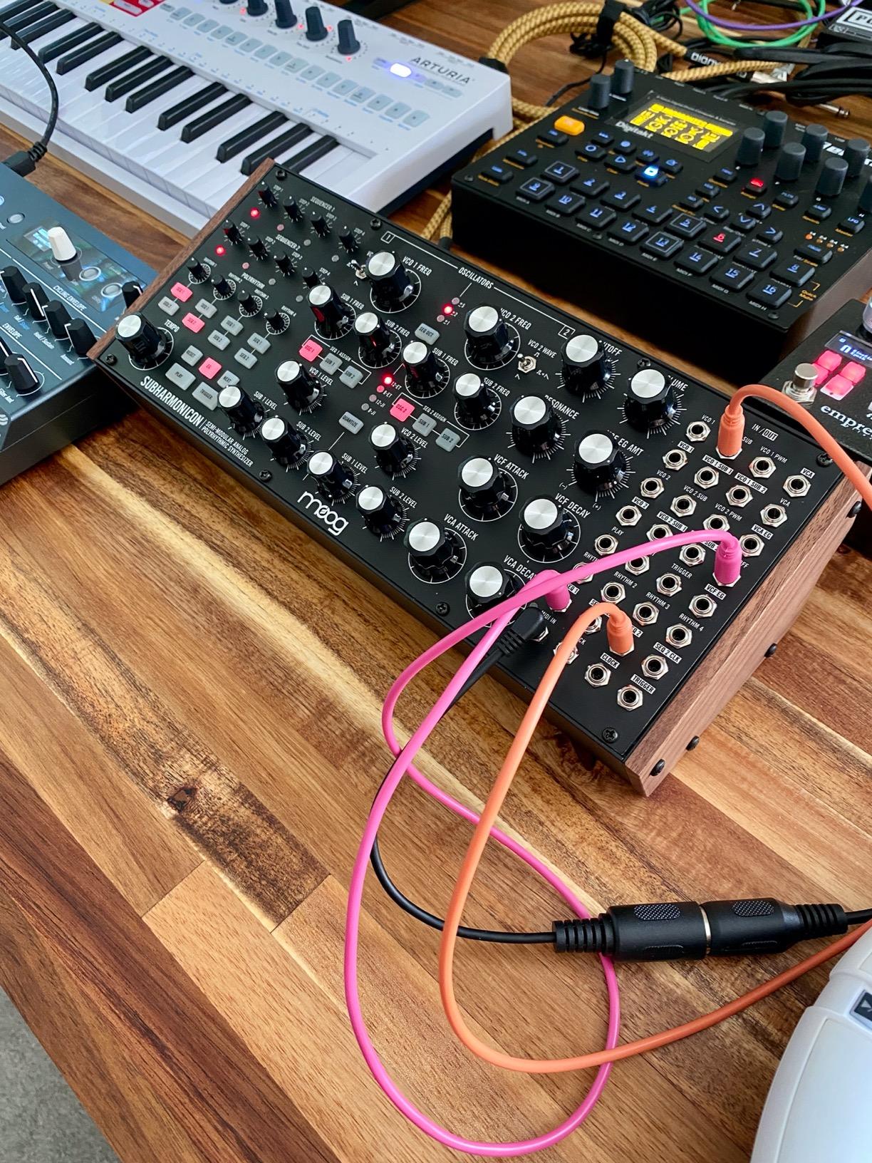 MOOG Subharmonicon Semi-Modular Analog Polyrhythmic Synthesizer with Dual Sequencer, MIDI, and Patch Bay customer photo 2