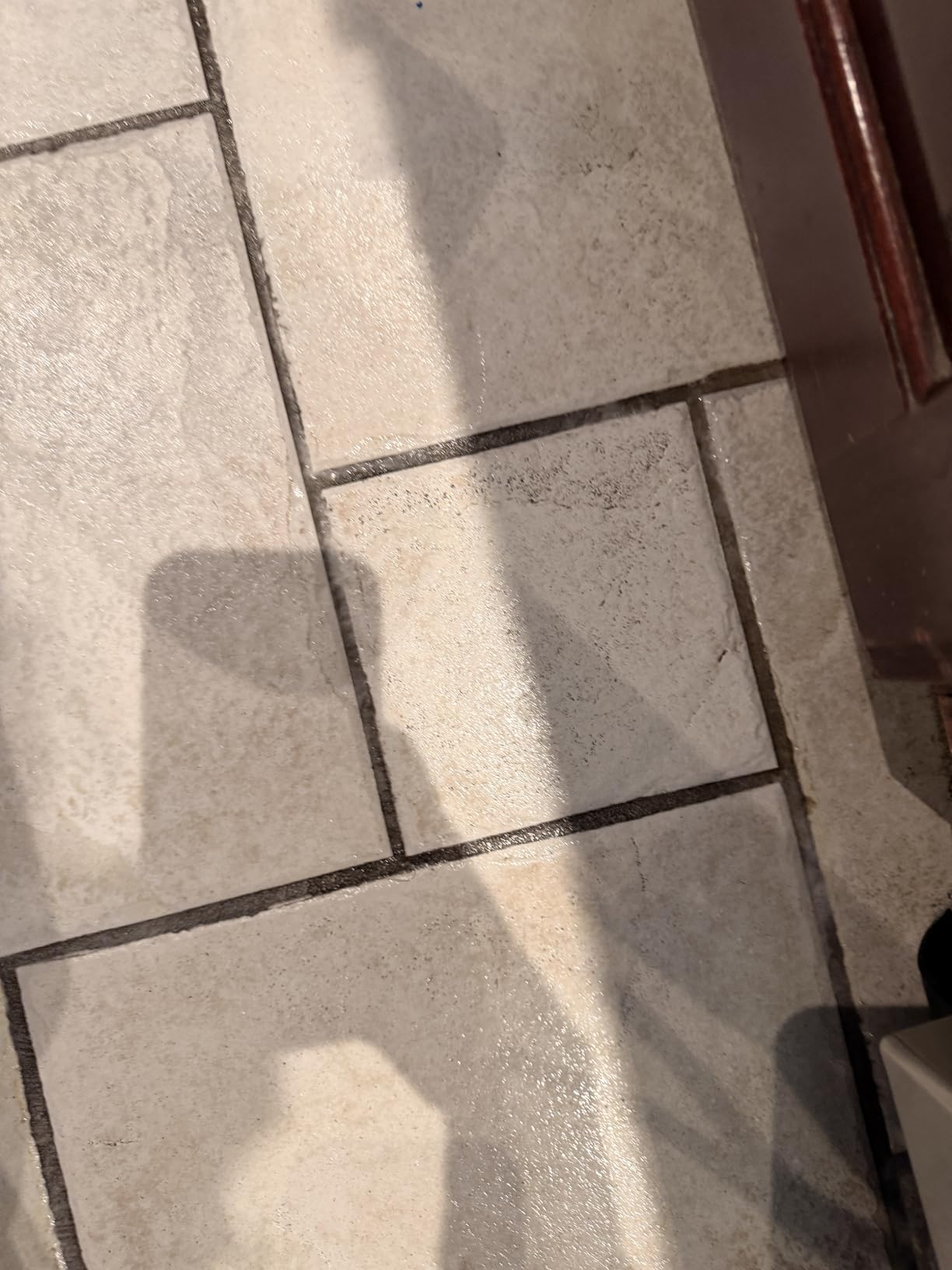 Bissell SpinWave Pet Hard Floor Corded Spin Mop, Electric Floor Cleaner with Washable Pads for Stain Removal on Sealed Hard Floors, 20399 customer photo 1