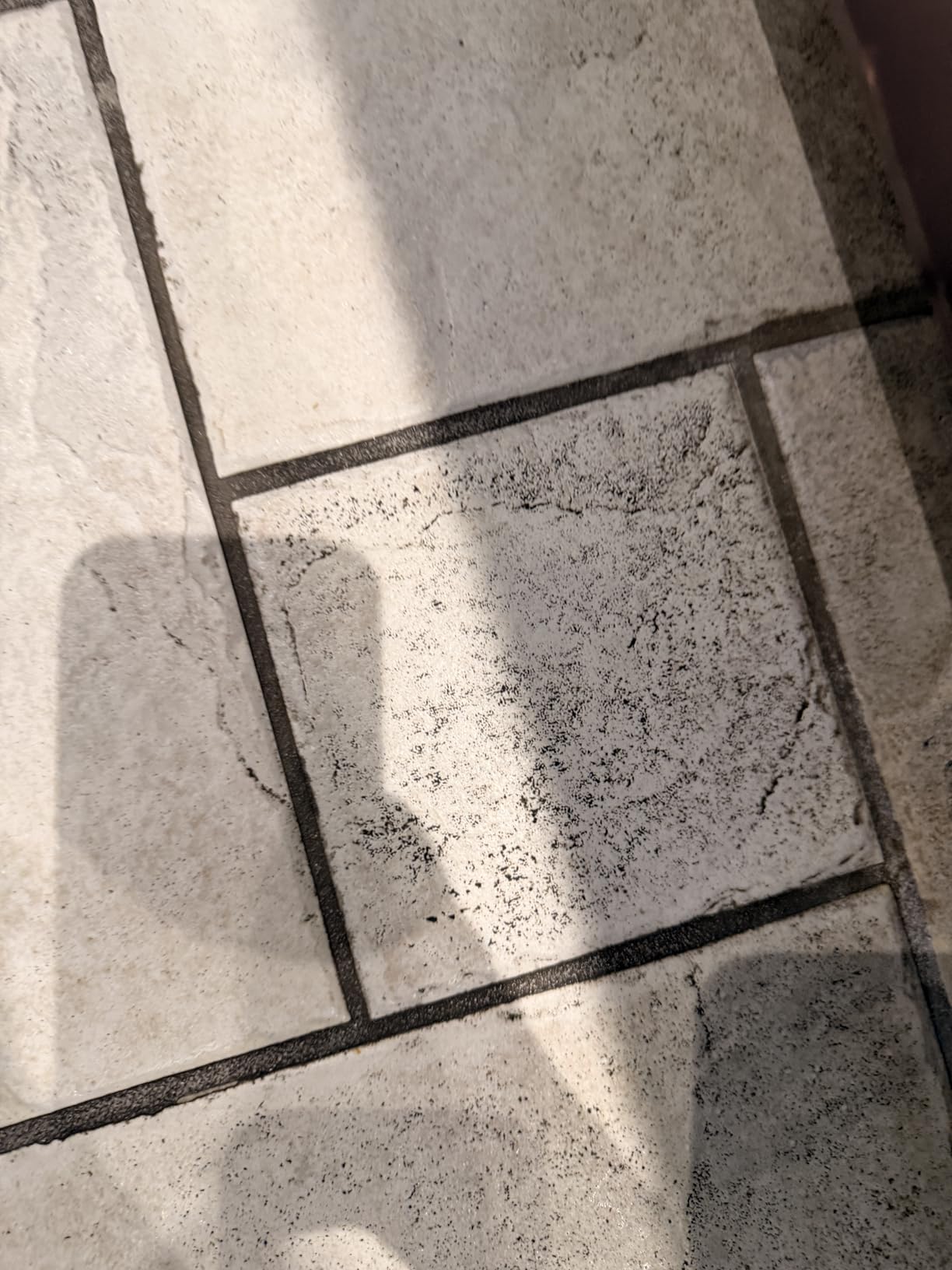 Bissell SpinWave Pet Hard Floor Corded Spin Mop, Electric Floor Cleaner with Washable Pads for Stain Removal on Sealed Hard Floors, 20399 customer photo 2