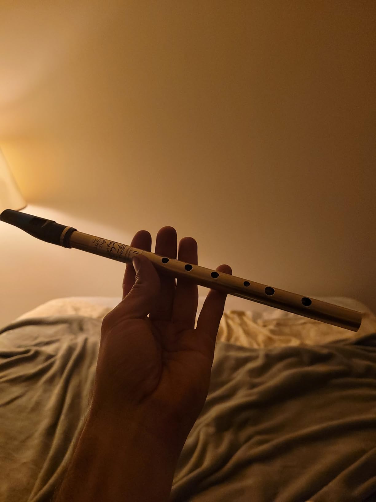 Jerry Freeman Tweaked Key of D Mellow Dog Tin Penny Whistle Irish Pennywhistle customer photo 1