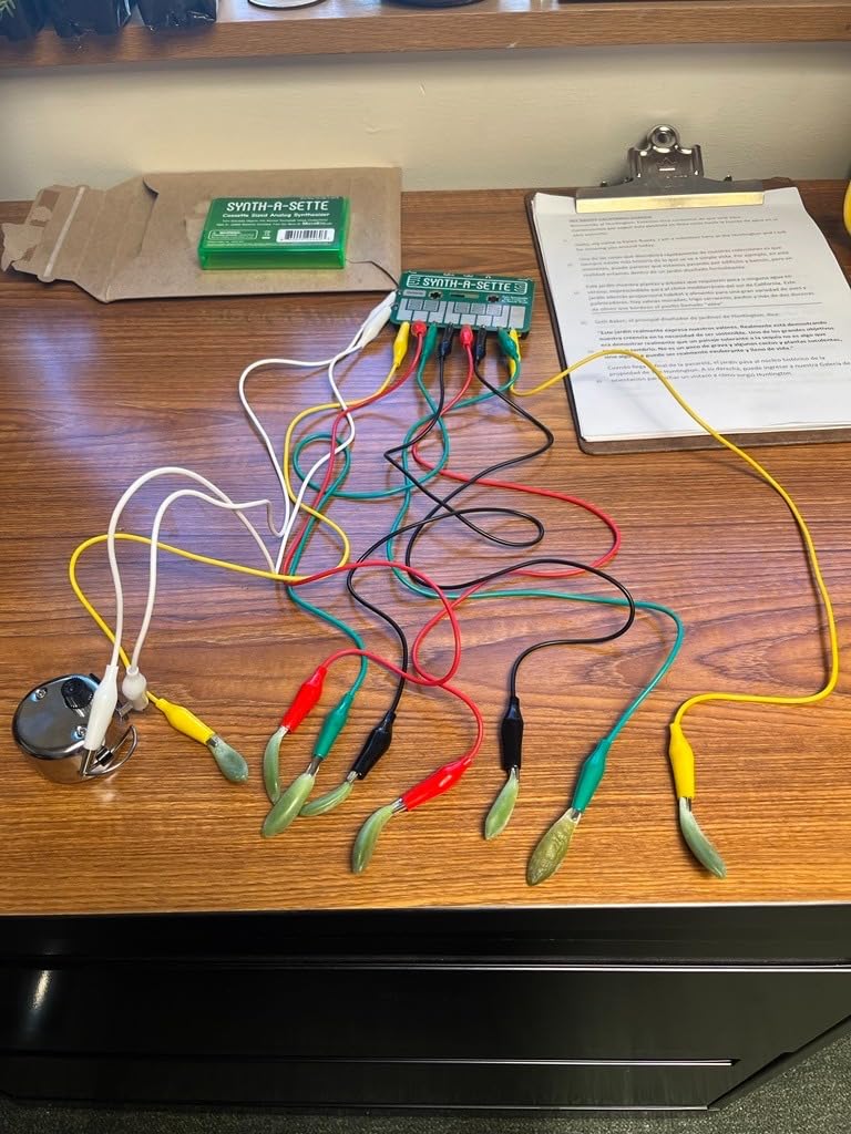 Synth-a-Sette: The Original Cassette Sized Analog Synthesizer. Play Melodies On The Go With This Pocket Synth Or Create Your Own Banana Keyboard Using Conductivity customer photo 1