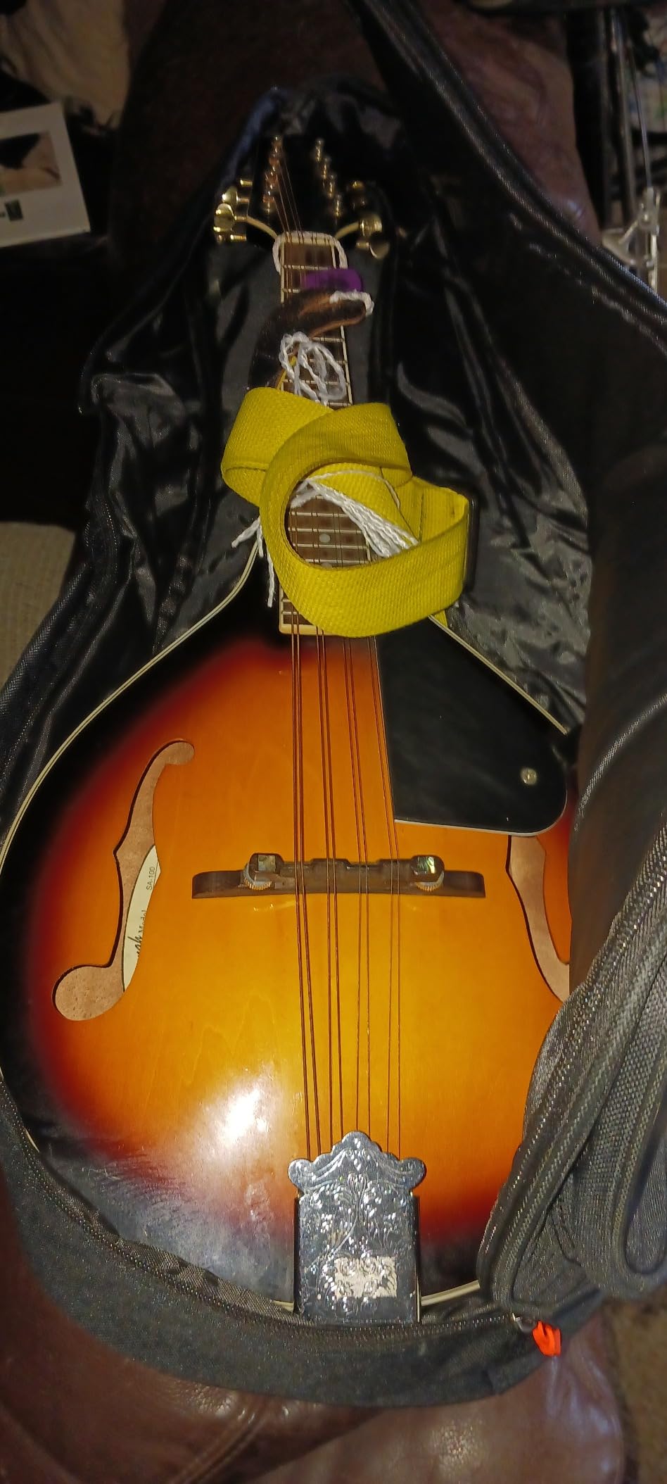 Oxford Fabric Mandolin Soft Case with Pocket, Backpack - Waterproof, 0.4inch Thickened Cotton customer photo 2