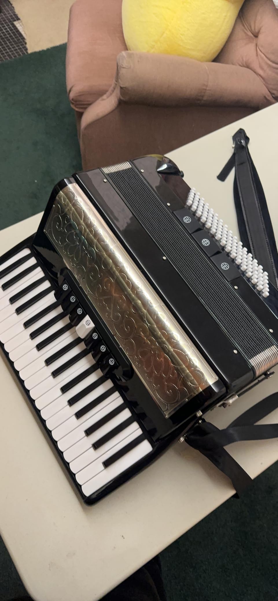 Accordion 37 Key 96 Bass Beginner Advanced Practice Performance (Black) - All-Skill Friendly, Lambskin Bellows, Multi-Register Tone customer photo 1