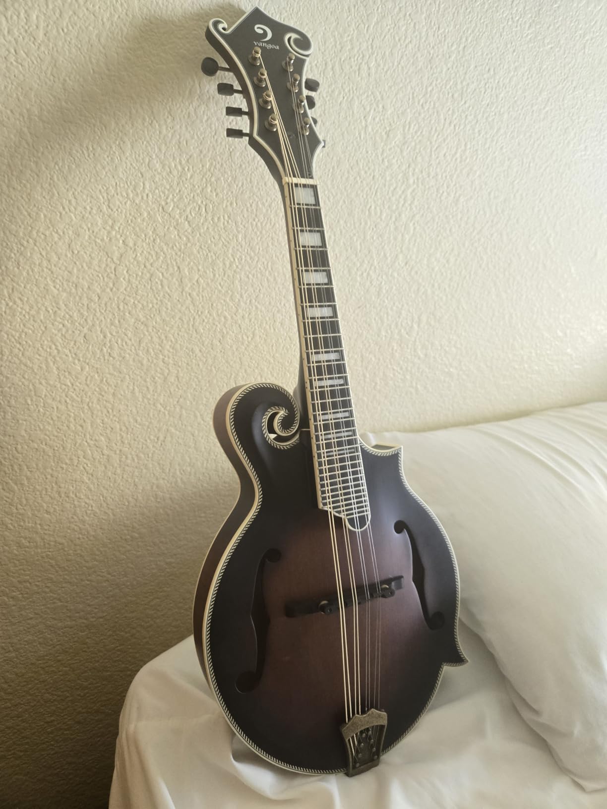 Vangoa F-Style Mandolins Instrument, Solid Spruce and Maple, 29-Fret, Ebony Fingerboard and Bridge, 8 String Acoustic Mandolin, for Beginner Adults and the higher stages players, Classic Sunburst customer photo 2