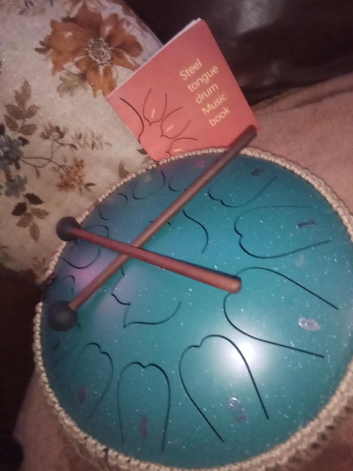 Steel Tongue Drum - 12-Inch 13-Notes Tongue Drum, C Major Outdoor Rain Drum with Music Book, Handpan Drums Mallets and Carry Bag (Green) customer photo 1