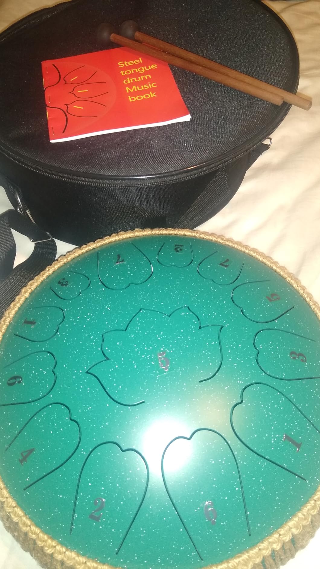 Steel Tongue Drum - 12-Inch 13-Notes Tongue Drum, C Major Outdoor Rain Drum with Music Book, Handpan Drums Mallets and Carry Bag (Green) customer photo 2