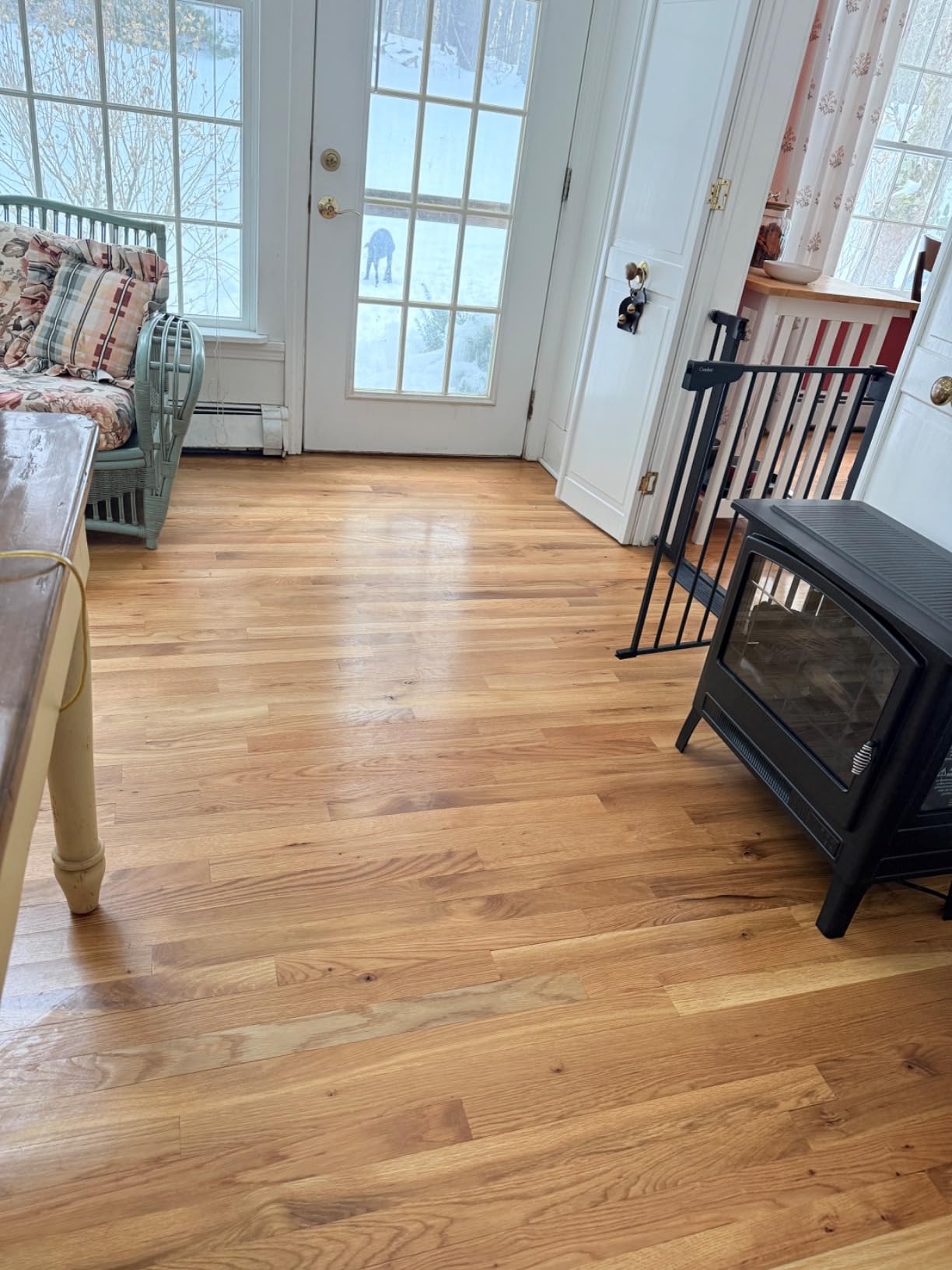 Shark Steam Pickup Lightweight 3-in-1 Steam Mop Cleaner Picks Up Debris, Deep Scrubs & Steam Sanitizes - All At Once for Home with Sealed Hard Floors like Hardwood, Tile & Laminate, SD201 customer photo 2