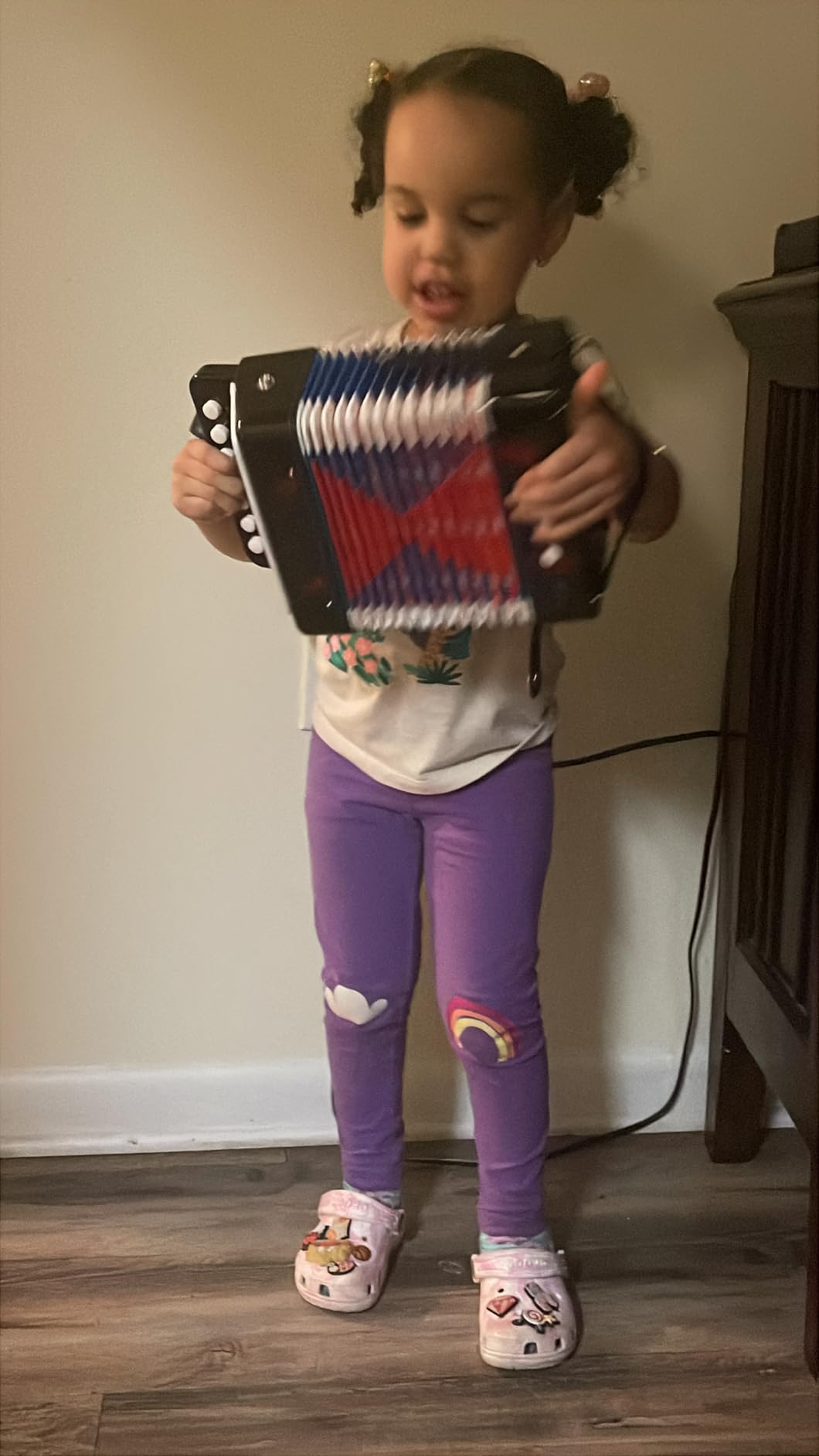 Lotkey 17 Key Piano Accordion, 8 Bass Kids Accordion, Celluloid Body, Metal Cover Accordions for Children, Beginners to Practice (Sapphire Blue) customer photo 1