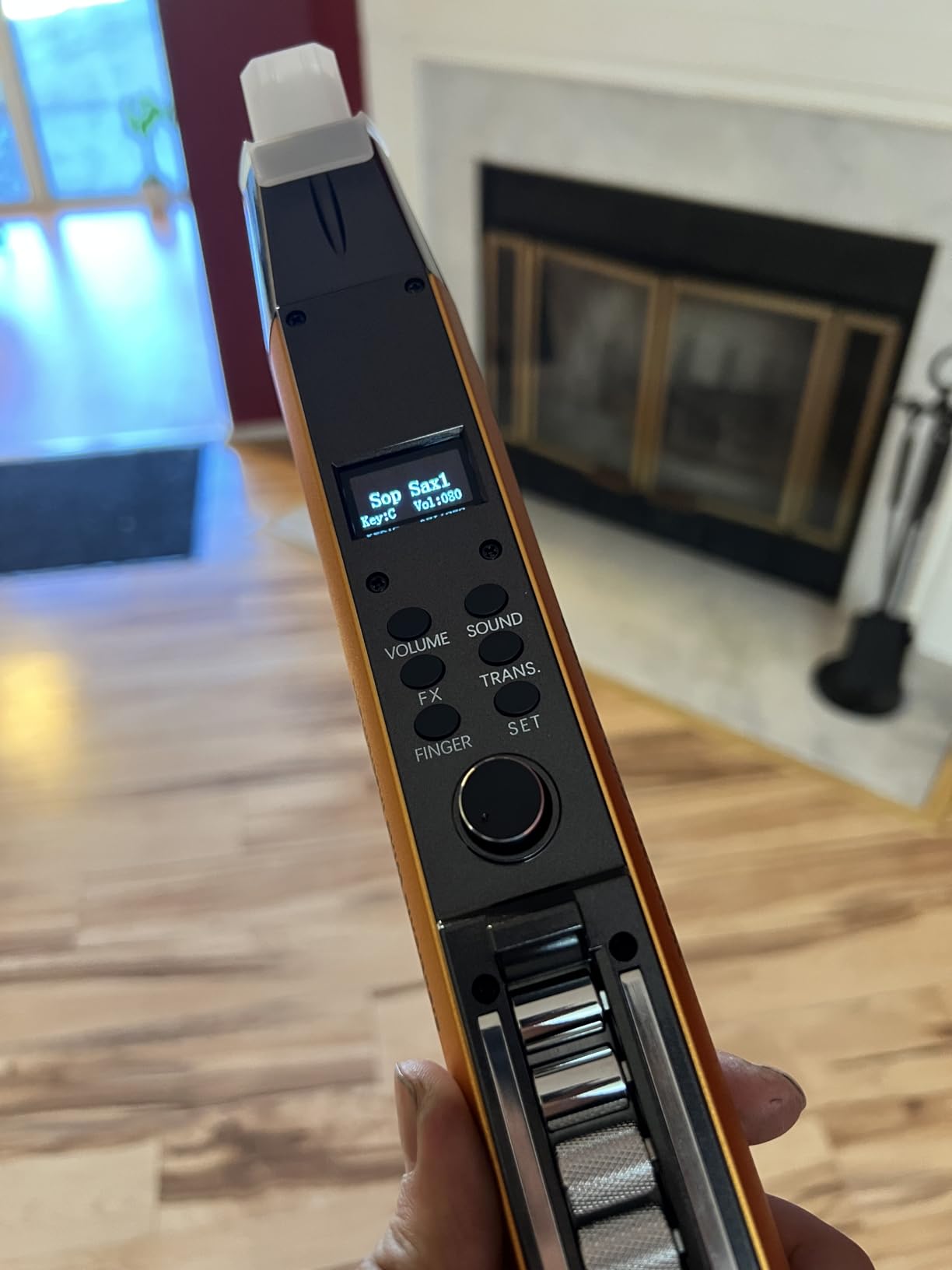 AP 300 Pro Electronic Wind Instrument with Built-in OTG Recording and LCD Display Screen, 108 Global Tones Electric Saxophone with 6000Ah Battery and Bluetooth customer photo 1