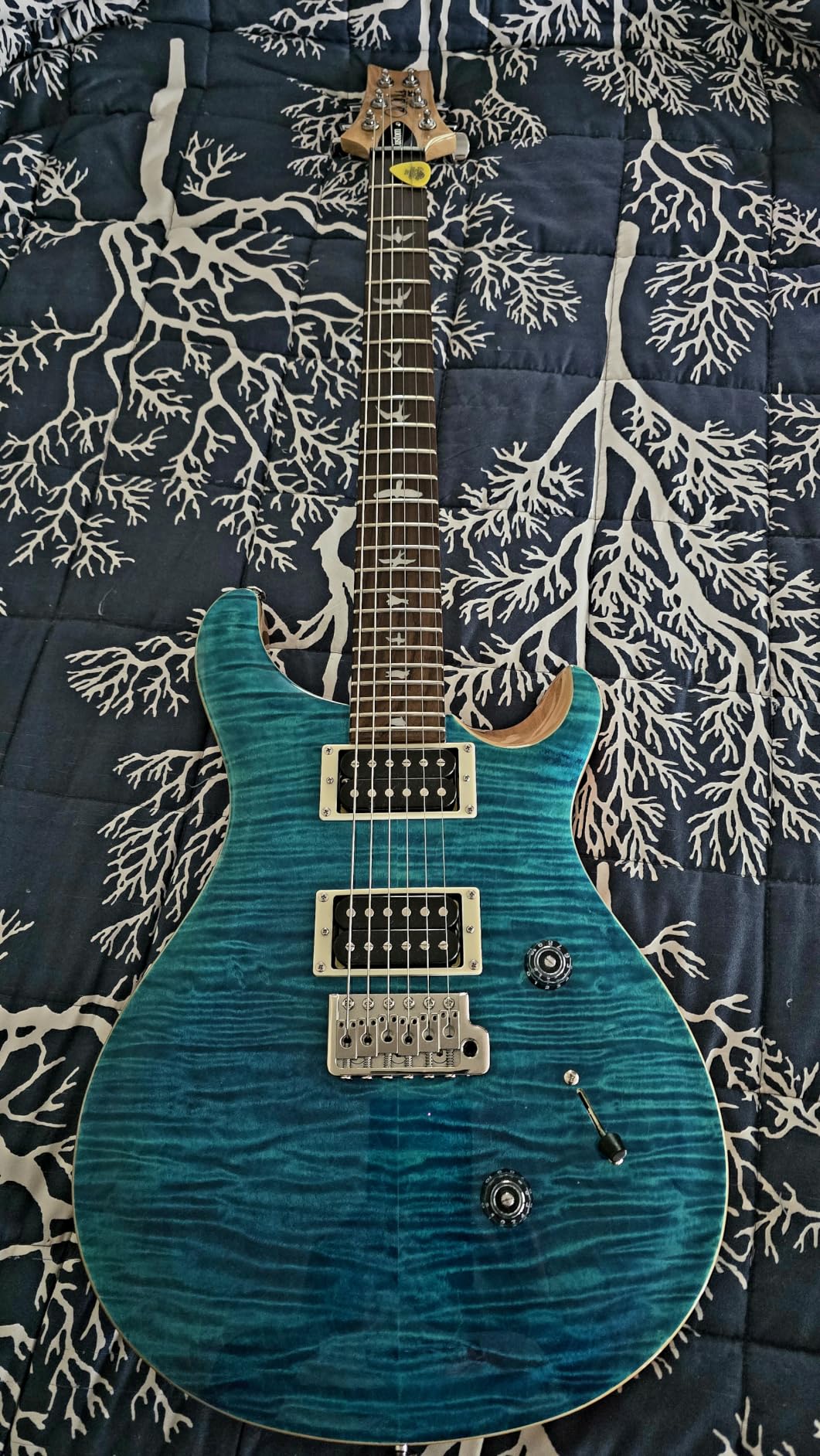 PRS SE Custom 24 Exclusive, Lake Blue with Gigbag customer photo 2