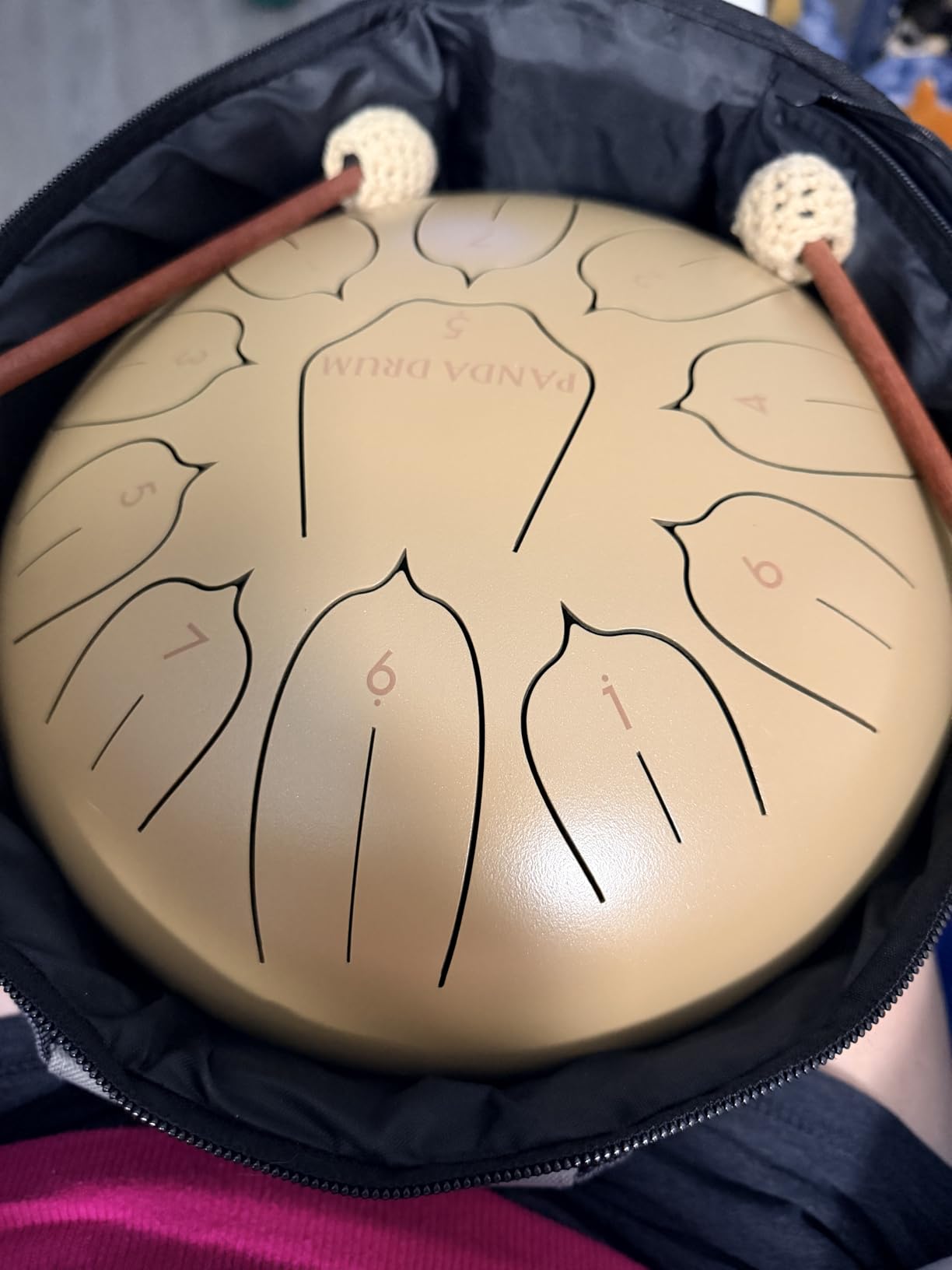 Panda Drum Plus (Blue) | Steel Tongue Handpan with Music Book, Mallets, Carrying Bag & Finger Picks | 11 inch, 432 Hz | Rain Drum for Inside & Outside | Calming Musical Instrument for Adults & Kids customer photo 1