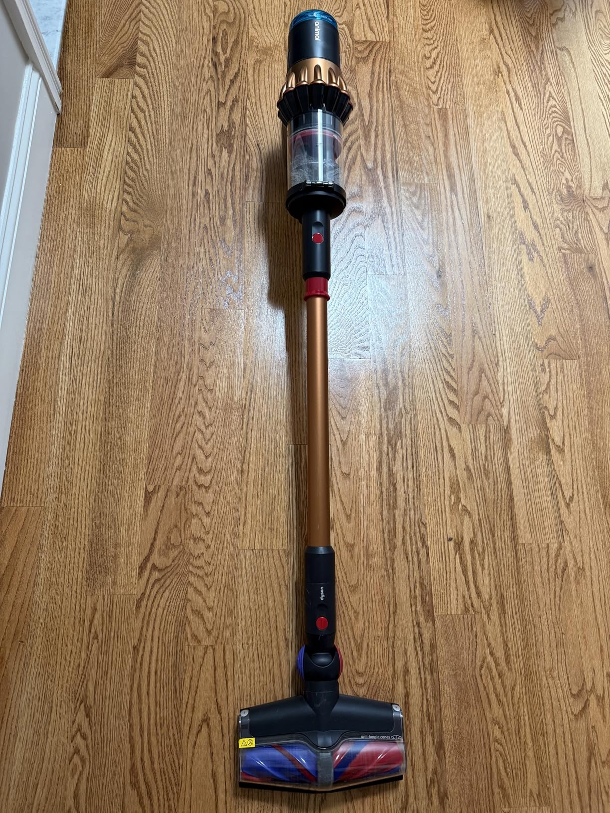 Dyson V16 Piston Animal Cordless Vacuum customer photo 1